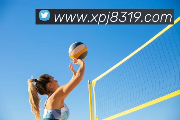 新葡京官网品牌故事